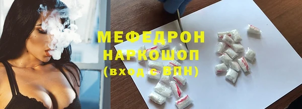 крисы Тайга