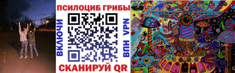 Псилоцибиновые грибы Psilocybine cubensis  купить наркоту  Власиха 